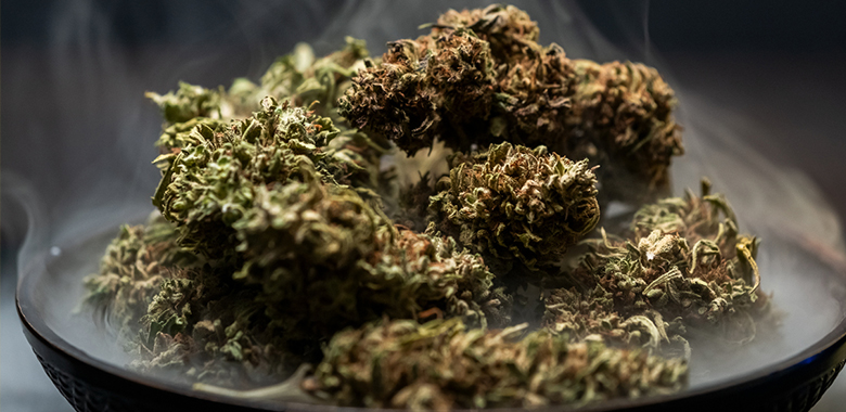 Cannabis