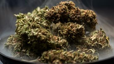 Cannabis